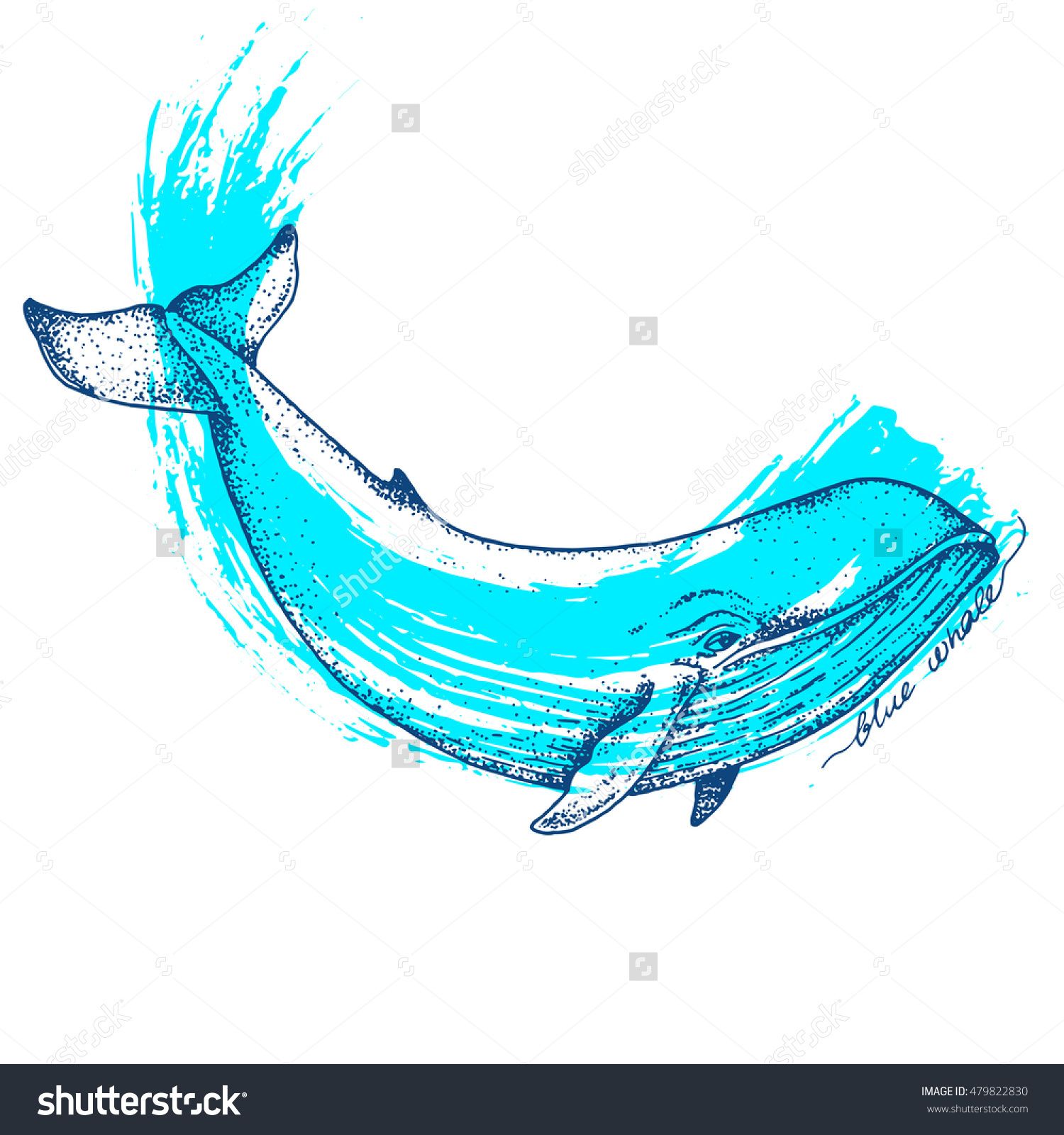 1500x1600 Big Blue Whale