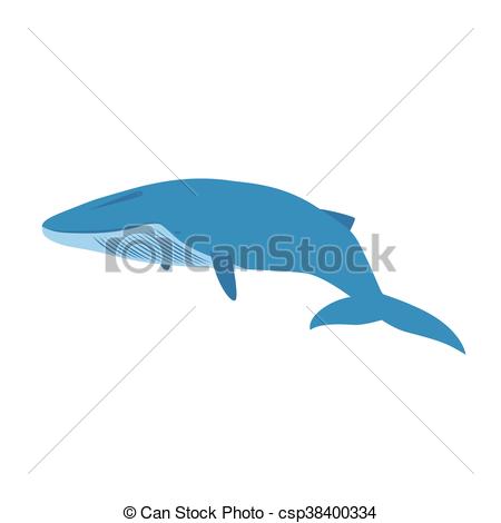 450x470 Big Blue Whale Isolated On White Background.
