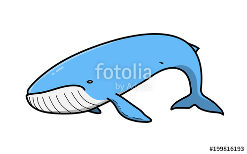 500x312 Blue Whale Cartoon, A Hand Drawn Vector Doodle Illustration Of A