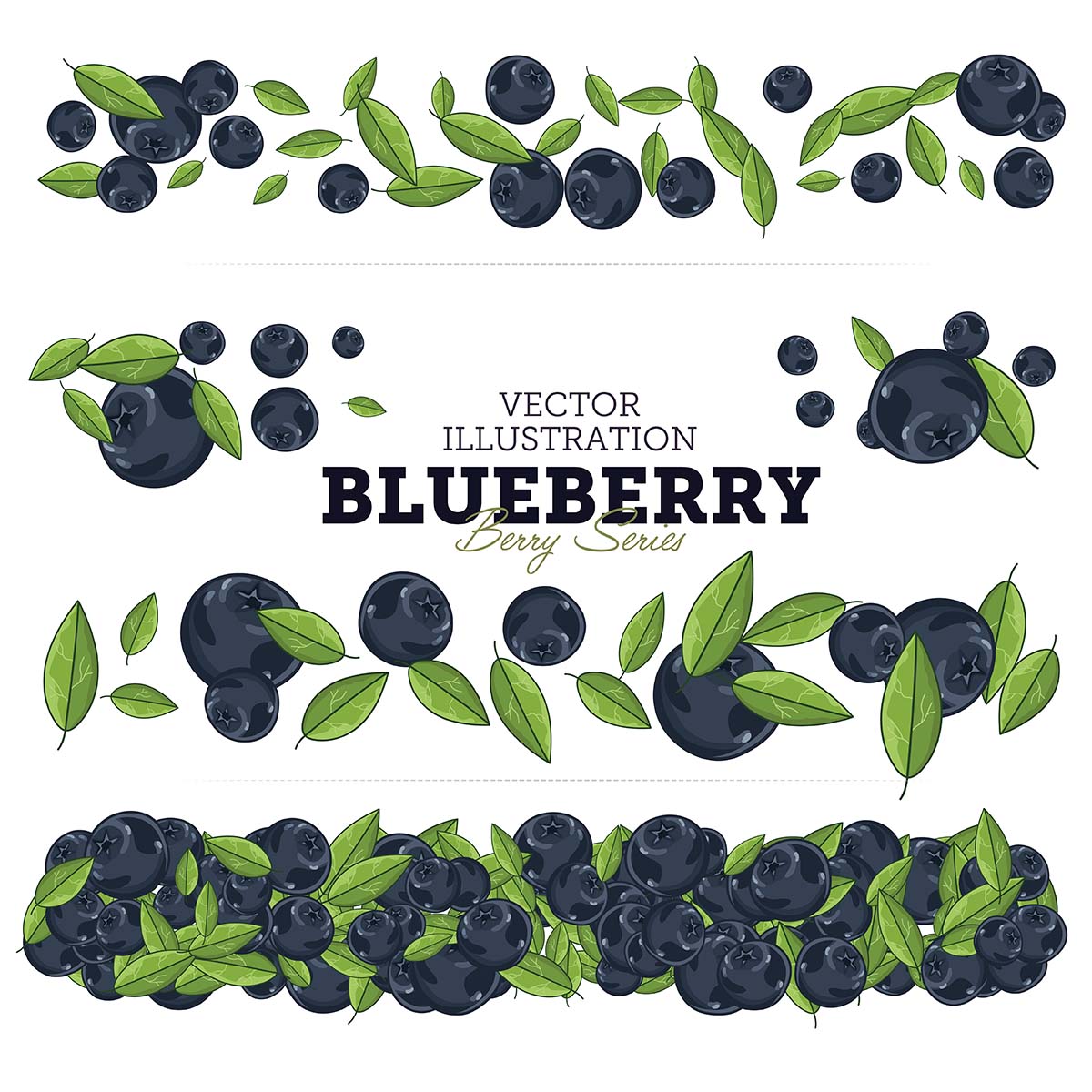 1200x1200 Blueberry Vector Illustration Set Free Download