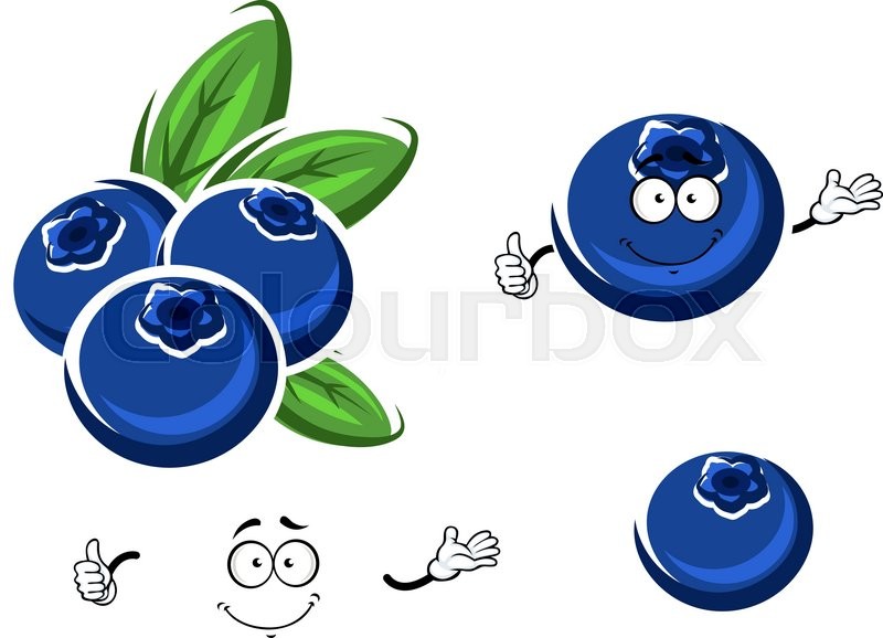 800x578 Cartoon Fresh And Funny Blueberry Characters With Happy Face And