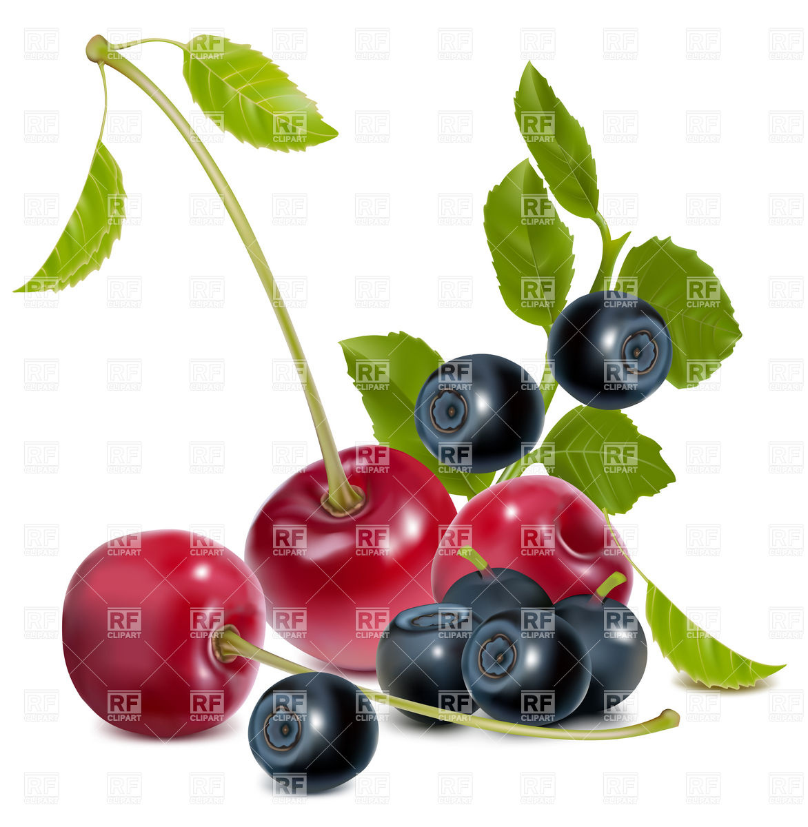 1172x1200 Cherry And Blueberry Vector Image Vector Artwork Of Food And