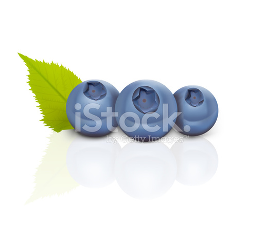 515x440 Blueberries Vector Illustration Stock Vector