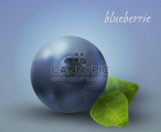 632x518 Ripe Blueberry Vector Illustration Free Vector Download 130485