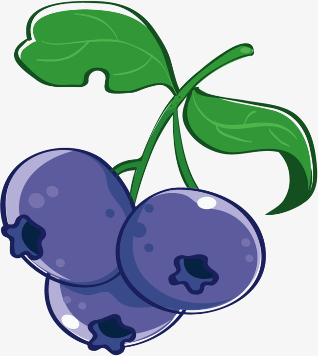 650x726 Vector Fruit Blueberries, Vector, Berry, Berries Png And Vector