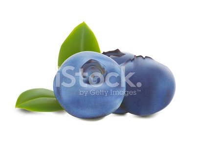 403x299 Blueberries Vector Illustration Stock Vectors