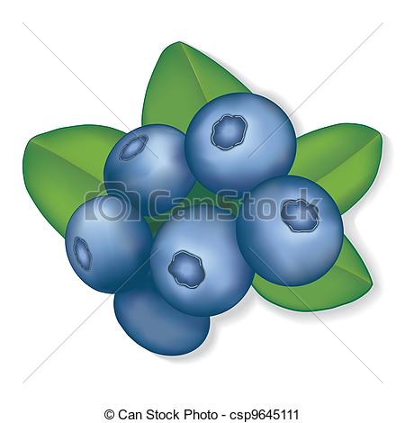 450x470 Blueberries. Fresh, Natural Garden Blueberries. Eps8 Compatible. .
