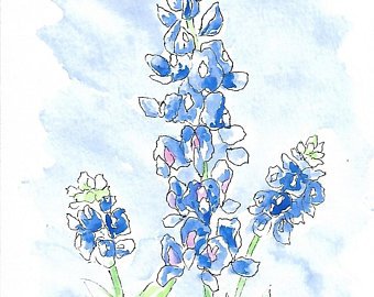 340x270 Texas Wildflowers Vector Clip Art Etsy