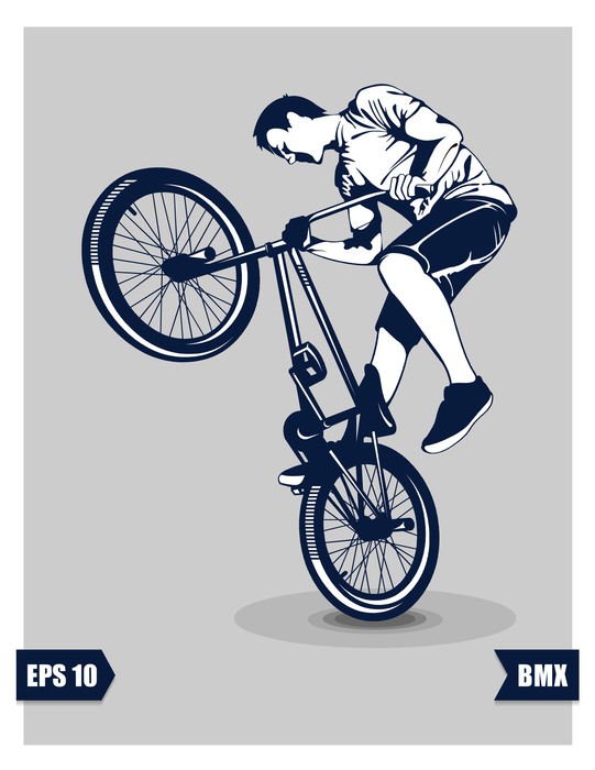 541x700 Bmx Vector Wall Mural We Live To Change