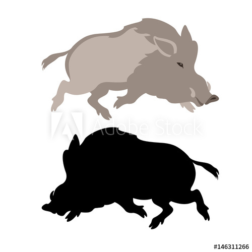 500x500 Wild Boar Vector Illustration Style Flat