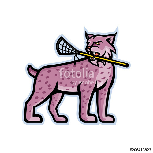 500x500 Bobcat Or Lynx Lacrosse Mascot Stock Image And Royalty Free