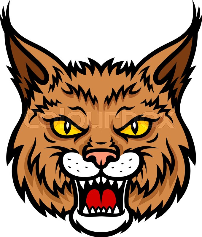 681x800 Bobcat Lynx Vector Mascot Icon Of Wild Cat Or Panther Animal