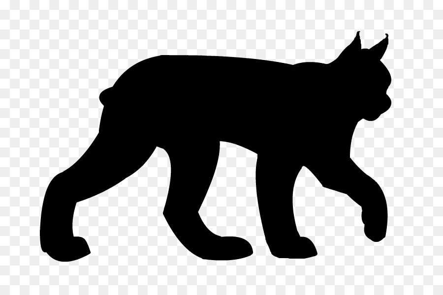 900x600 Lynx Clipart Bobcat
