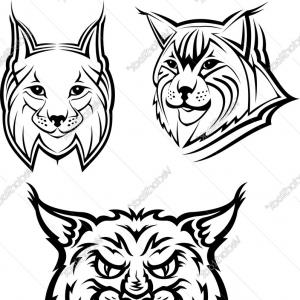 300x300 Wild Bobcat Or Lynx Mascots Vector Lazttweet