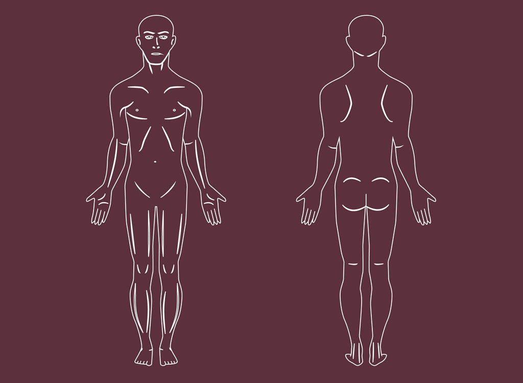 1024x750 Human Body Vectors