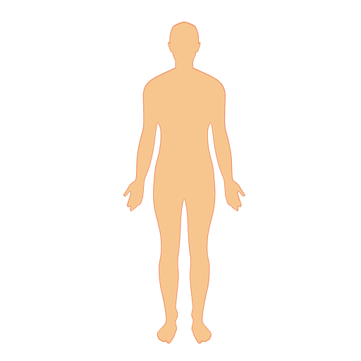 512x512 Human Body Man