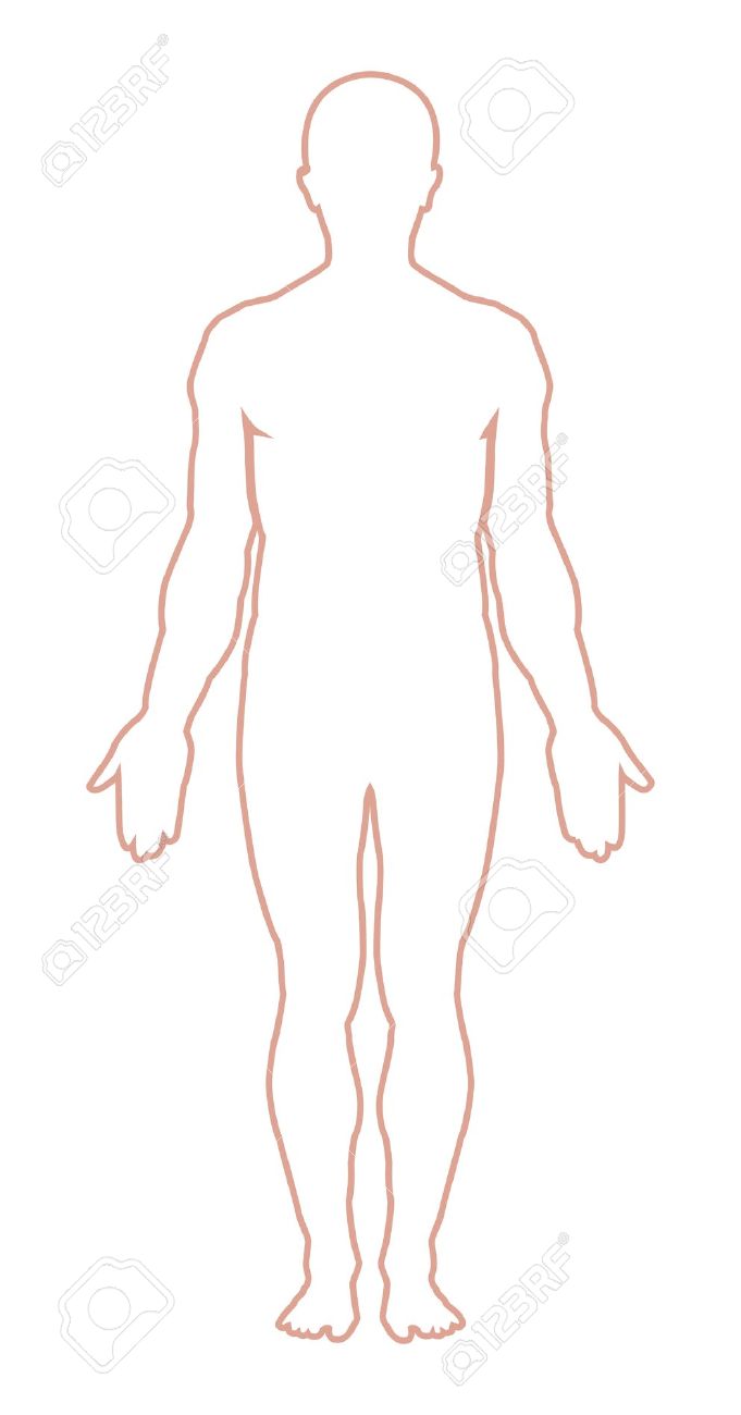 681x1300 Human Body Vector