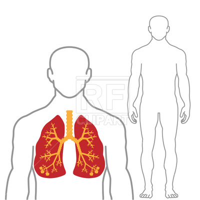 400x400 Lungs And Human Body Vector Image Vector Artwork Of Healthcare