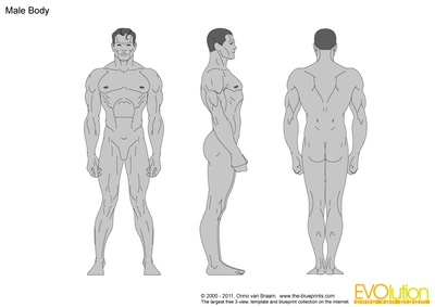 400x283 Male Body Vector Drawing