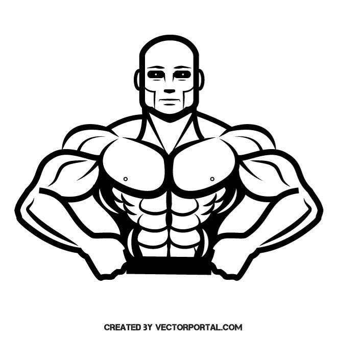 660x660 Bodybuilder Vector Clip Art. Sports Free Vectors