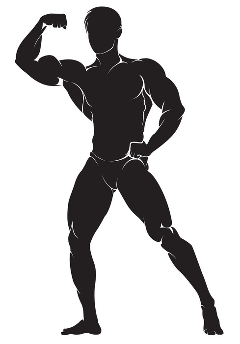 489x700 Bodybuilder. Vector Silhouette Against White Background Wall Mural