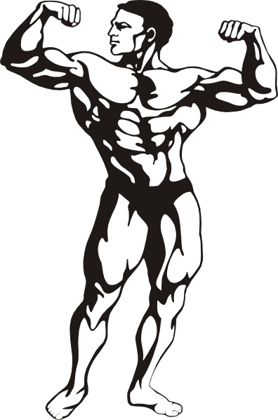 396x599 Bodybuilding Free Vector Download (33 Free Vector) For Commercial