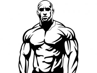 310x233 Bodybuilder Vector Free Vectors Ui Download
