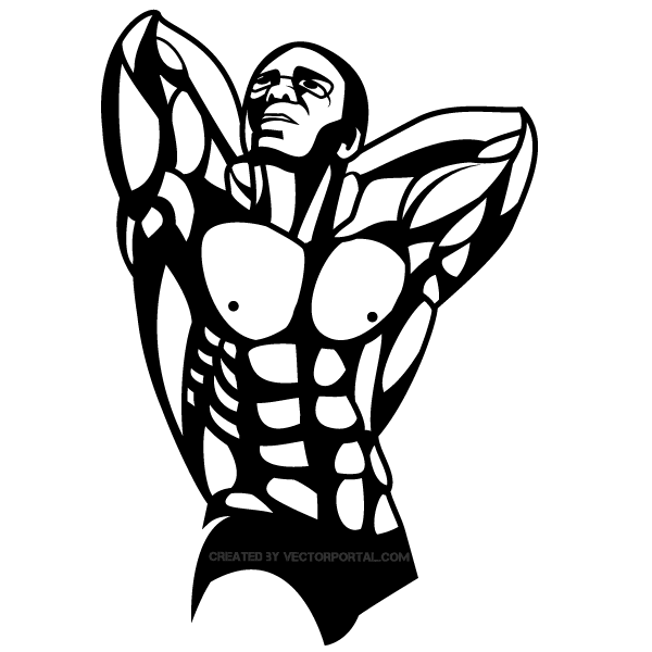 600x600 Bodybuilder Vector Art 123freevectors