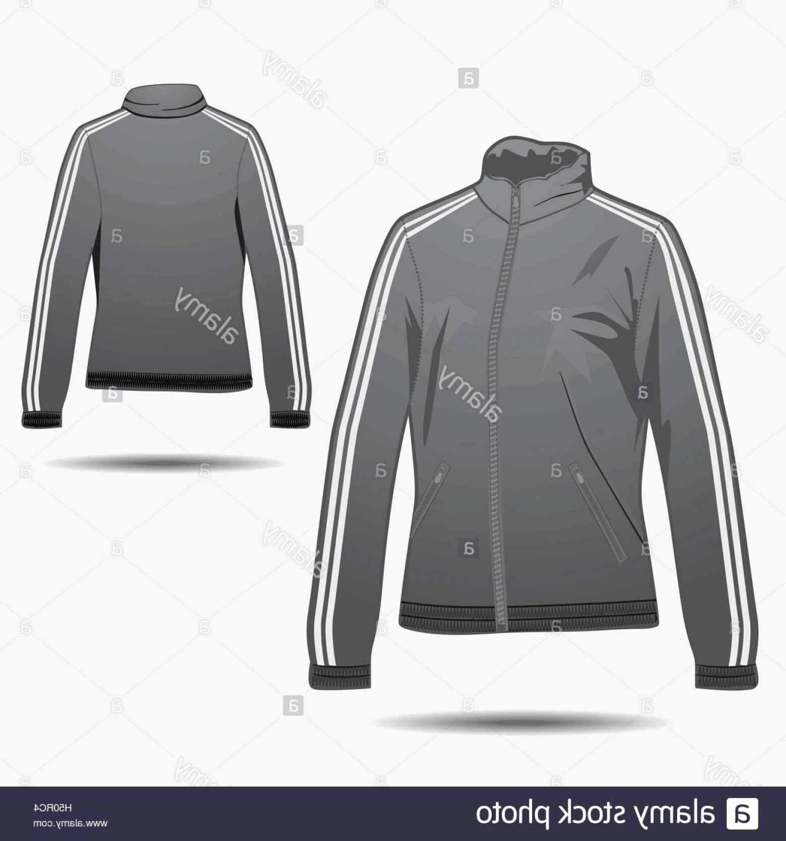 1560x1668 Winter Jacket Vector Template Arenawp