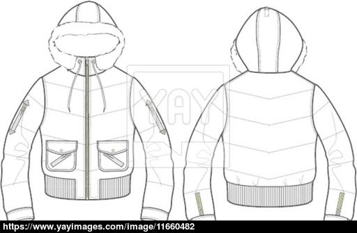 512x335 Lady Padded Bomber Jacket Vector