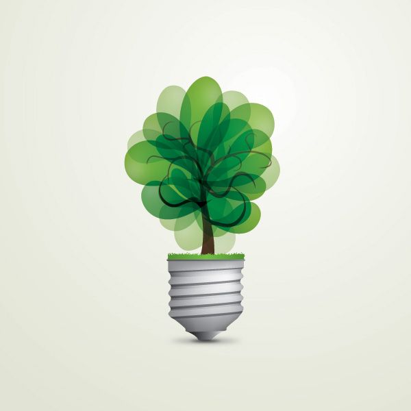 600x600 Green Light Bulb Vector Graphic