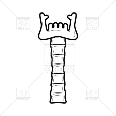 400x400 Neck And Lower Jaw Of Bone Vector Image Vector Artwork Of