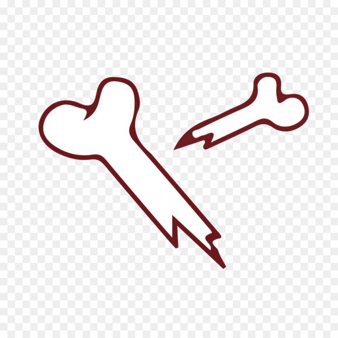 1080x1080 Png Euclidean Vector Bone Clip Art Bones Vector Geekchicpro