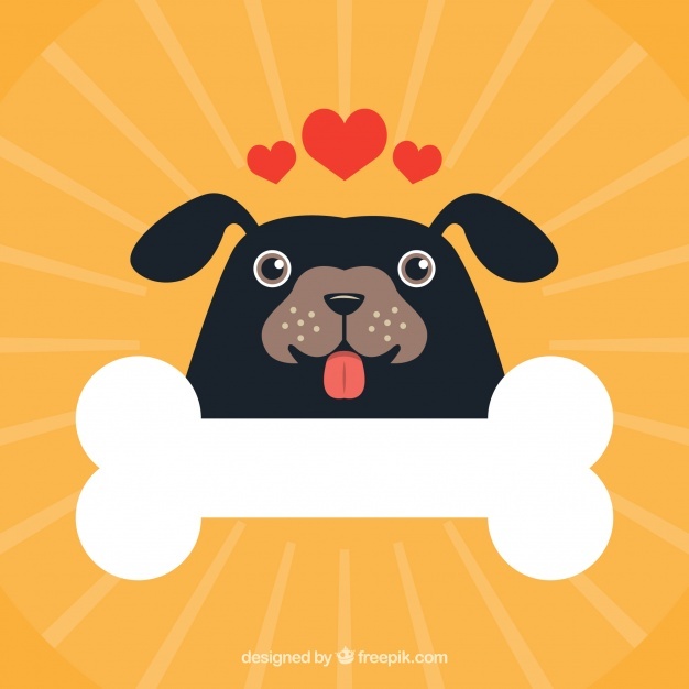 626x626 Bone Vectors, Photos And Psd Files Free Download