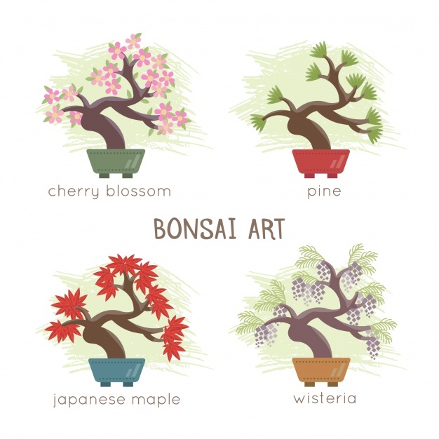 626x626 Bonsai Vectors, Photos And Psd Files Free Download