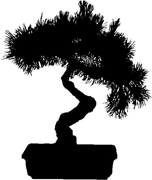 491x581 Bonsai Clipart Black And White