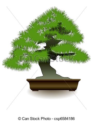 360x470 Japanese Bonsai Tree On White Background.