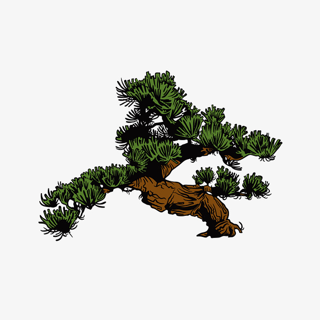 650x651 Overlooking The Bonsai Tree, Tree Vector, Tree Clipart, Vector