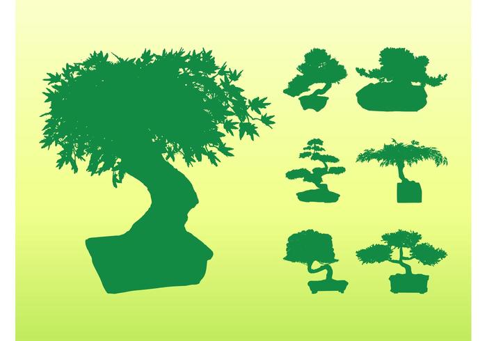 700x490 Bonsai Tree Silhouettes