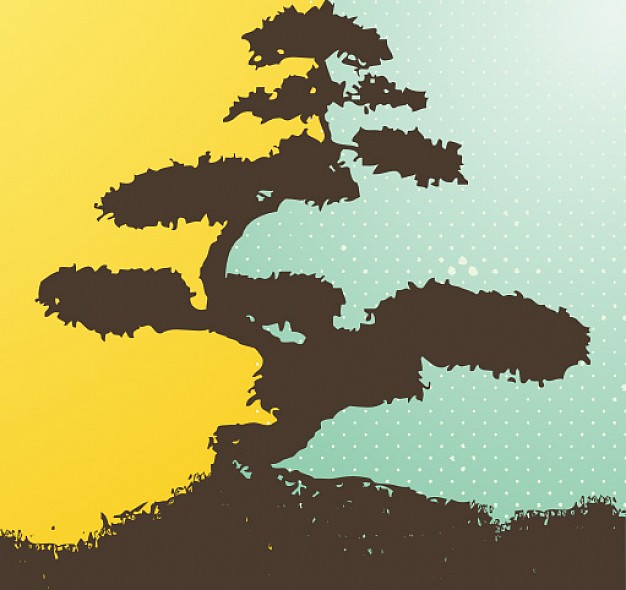 626x590 Bonsai Vectors, Photos And Psd Files Free Download