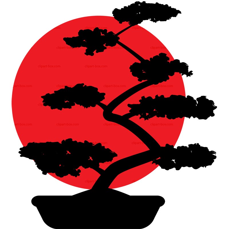 800x800 Bonsai Clipart Black And White