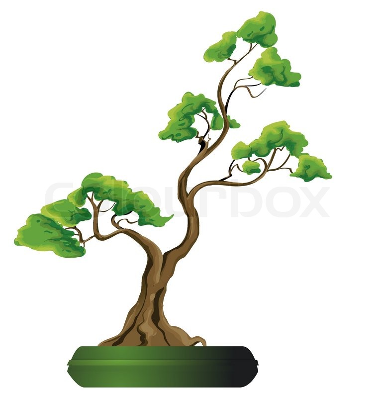 770x800 Bonsai Tree Vector Illustration Stock Vector Colourbox