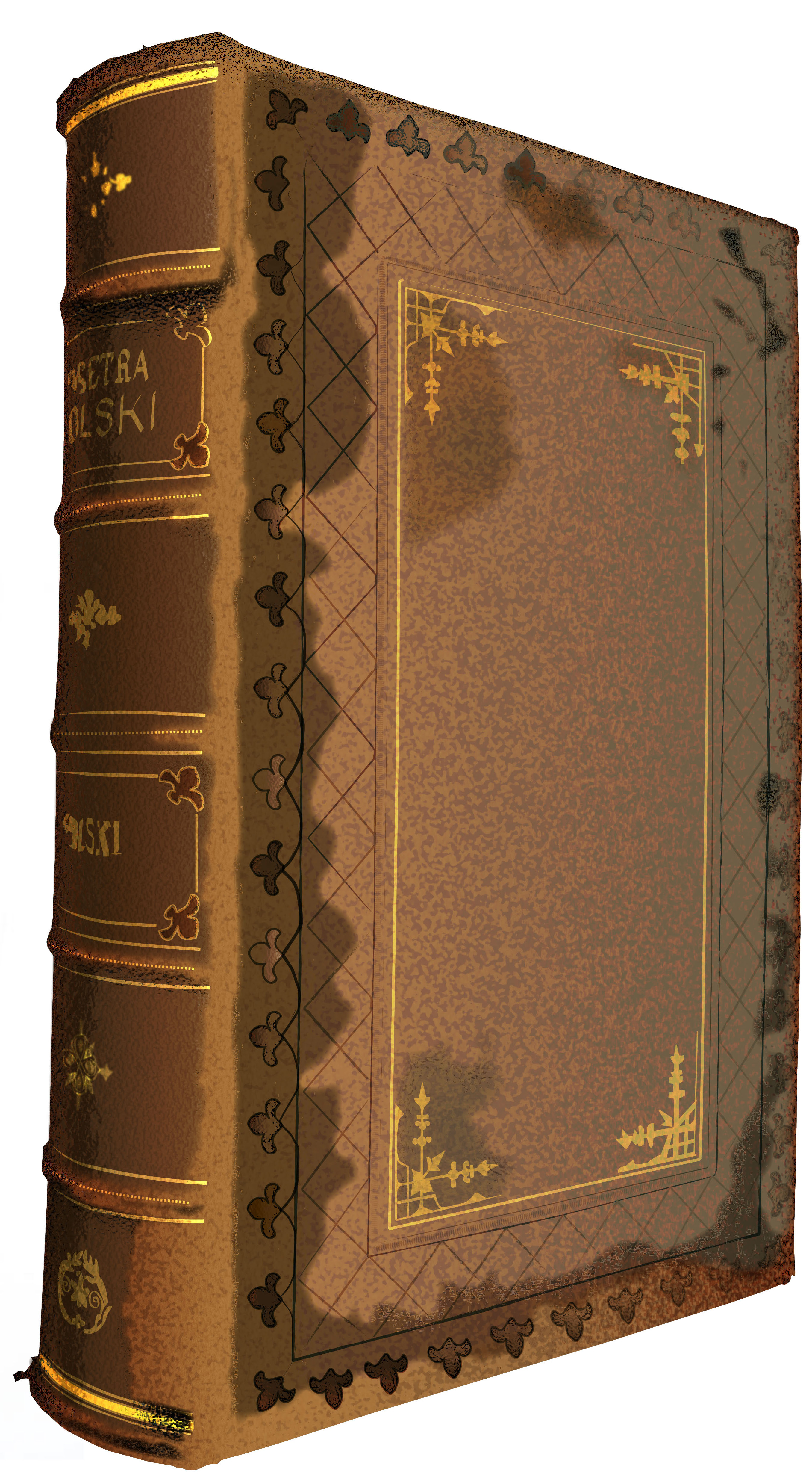 2712x4944 Vector Book By Eicats