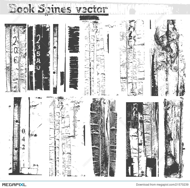 800x791 Book Spine (Vector) Illustration 21570239