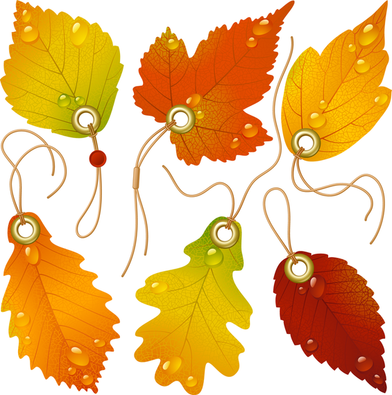 565x570 Vector Beautiful Maple Leaf Bookmark