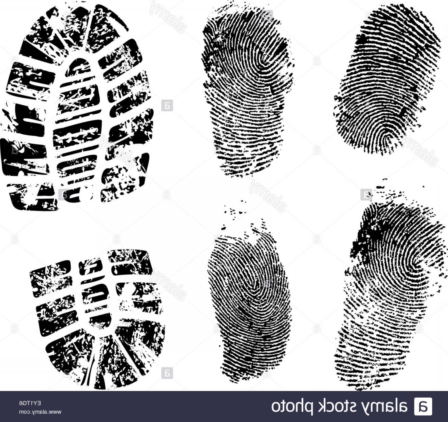 1560x1470 Stock Photo Detailed Finger And Boot Print Vector Illustration