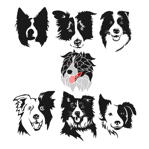 600x600 Border Collie Clipart Face