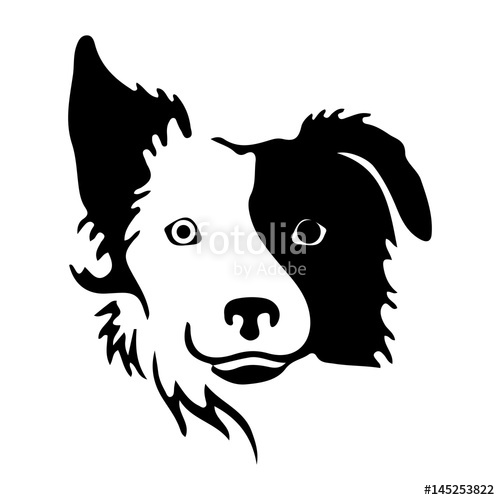 500x500 Border Collie Logo Stock Image And Royalty Free Vector Files On