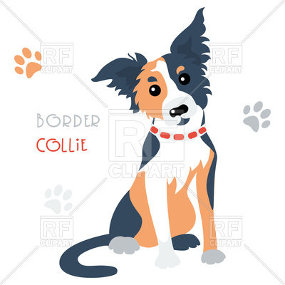 400x400 Cartoon Cute Funny Dog Border Collie Breed Vector Image Vector
