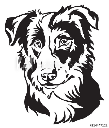 429x500 Decorative Portrait Of Dog Border Collie Vector Illustration